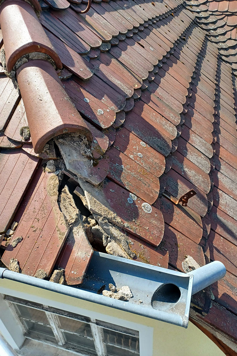 Dach Reparatur
