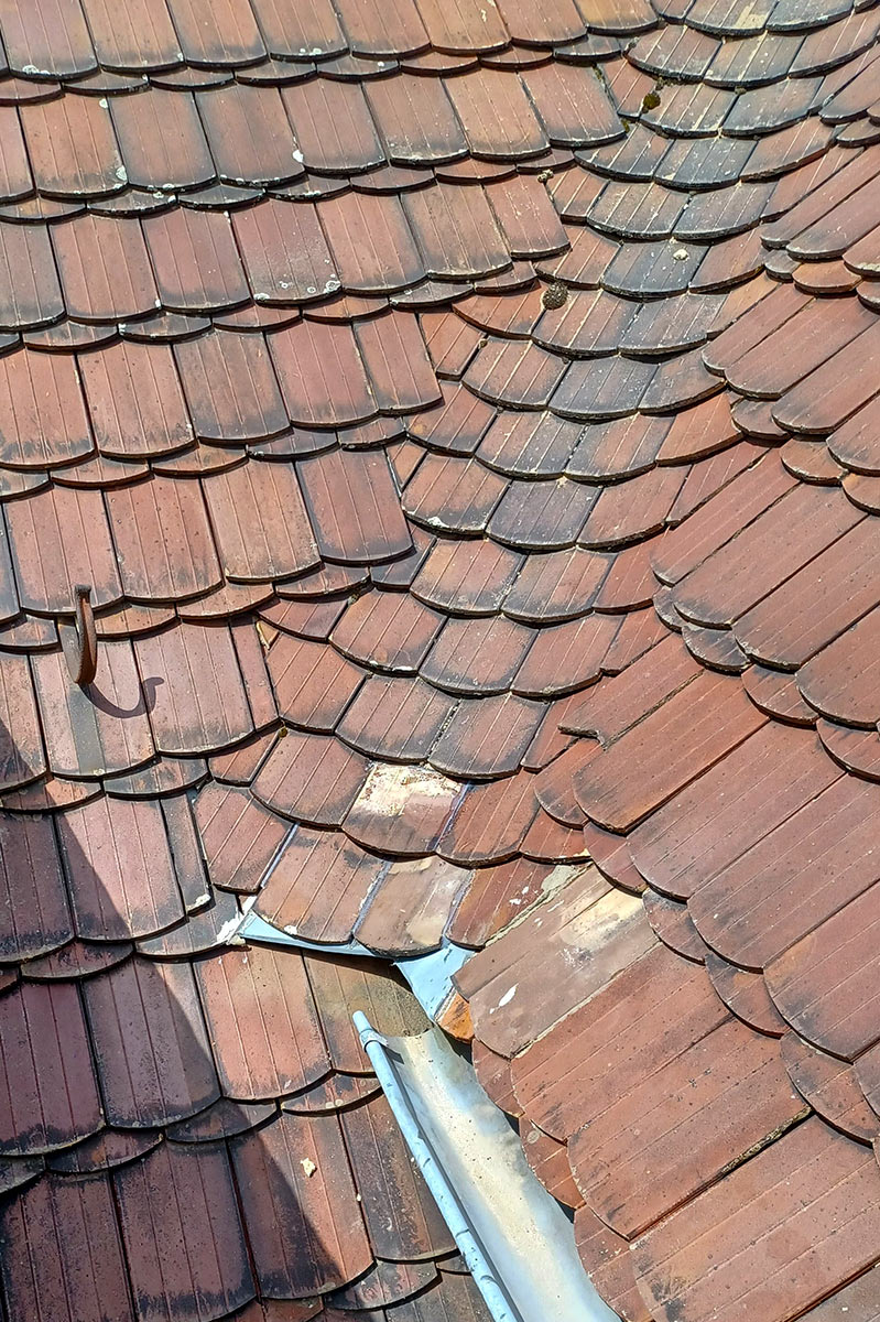 Dach Reparatur